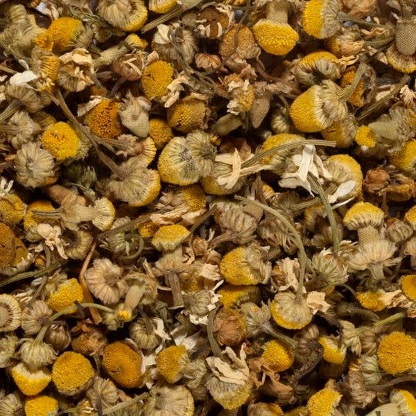 Organic Chamomile Tea | Golden, Fragrant, and Naturally Calming