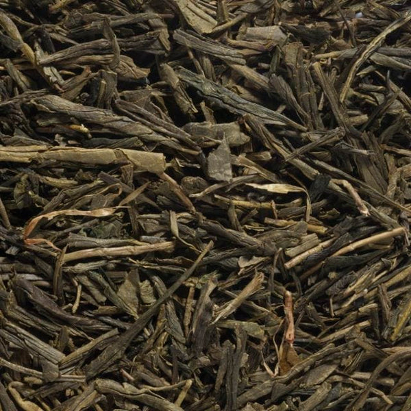 China Green Sencha | Mild, Steamed, and Smoothly Spiced